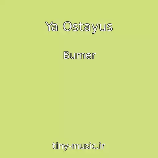 کاور آهنگ Ya Ostayus از Bumer
