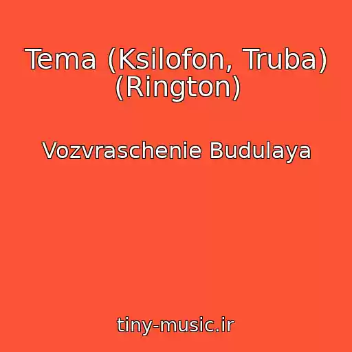 کاور آهنگ Tema (Ksilofon, Truba) (Rington) از Vozvraschenie Budulaya