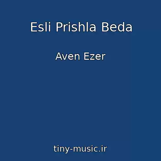 کاور آهنگ Esli Prishla Beda از Aven Ezer