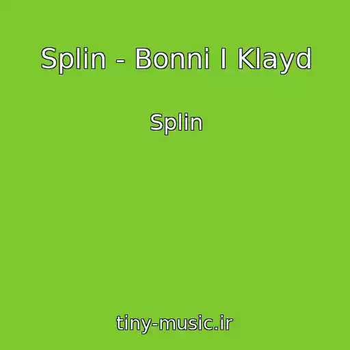کاور آهنگ Splin - Bonni I Klayd از Splin