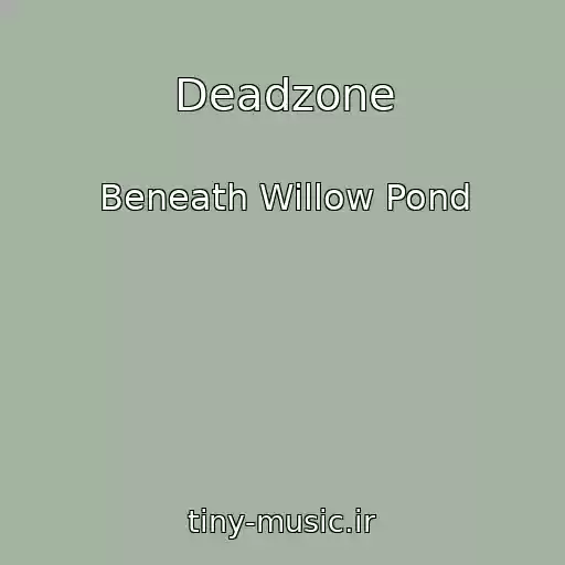 کاور آهنگ Deadzone از Beneath Willow Pond