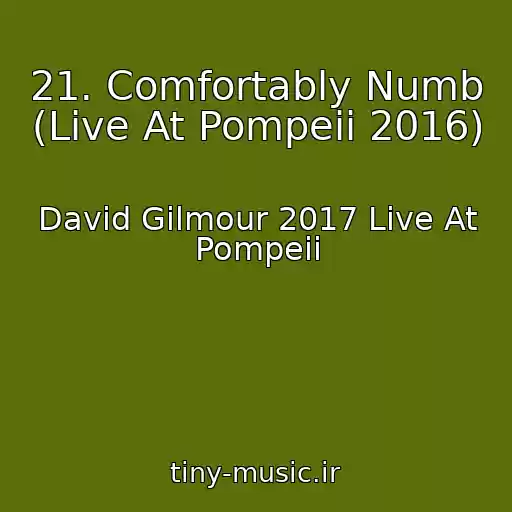 کاور آهنگ 21. Comfortably Numb (Live At Pompeii 2016) از David Gilmour 2017 Live At Pompeii