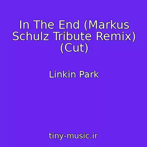 کاور آهنگ In The End (Markus Schulz Tribute Remix) (Cut) از Linkin Park