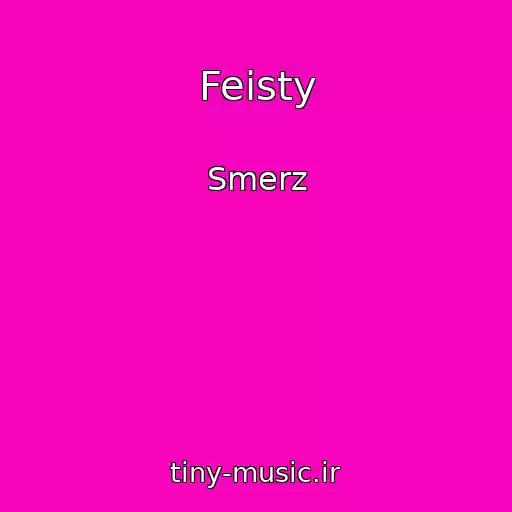 کاور آهنگ Feisty از Smerz