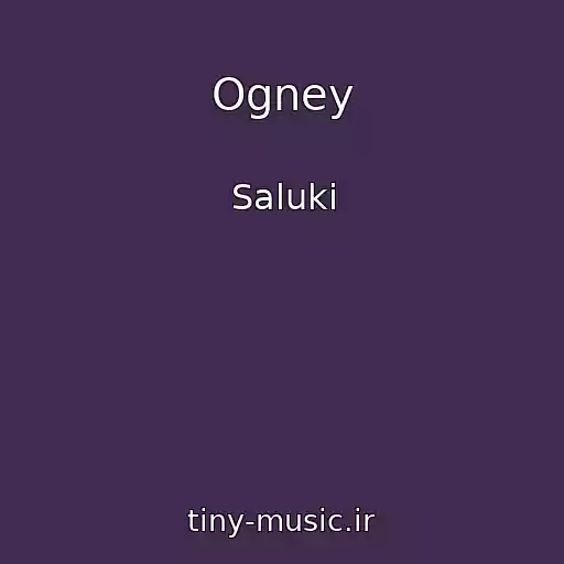 کاور آهنگ Ogney از Saluki