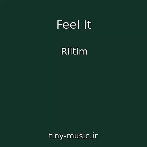 کاور آهنگ Feel It از Riltim