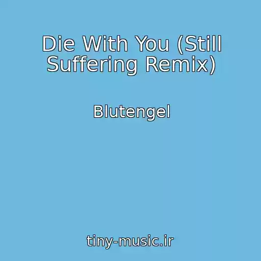 کاور آهنگ Die With You (Still Suffering Remix) از Blutengel