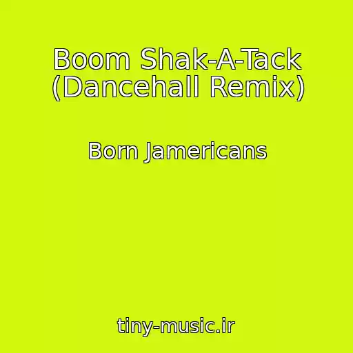 کاور آهنگ Boom Shak-A-Tack (Dancehall Remix) از Born Jamericans