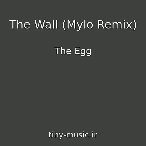 کاور آهنگ The Wall (Mylo Remix) از The Egg