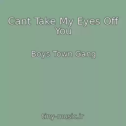 کاور آهنگ Cant Take My Eyes Off You از Boys Town Gang