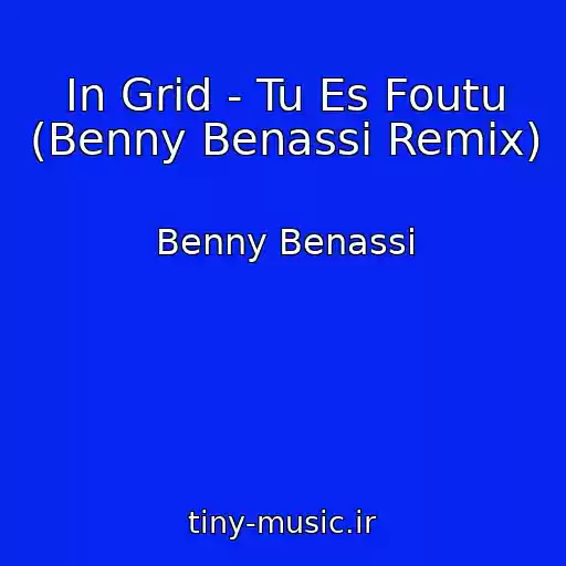 کاور آهنگ In Grid - Tu Es Foutu (Benny Benassi Remix) از Benny Benassi