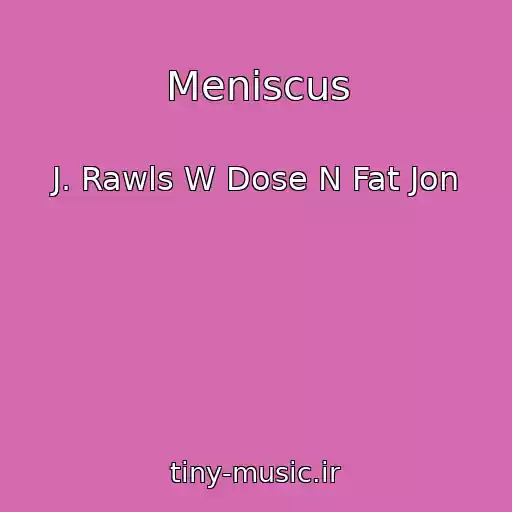 کاور آهنگ Meniscus از J. Rawls W Dose N Fat Jon