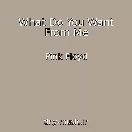 کاور آهنگ What Do You Want From Me از Pink Floyd