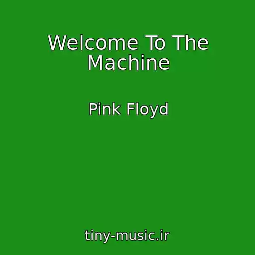 کاور آهنگ Welcome To The Machine از Pink Floyd