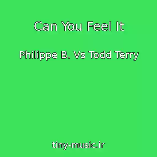 کاور آهنگ Can You Feel It از Philippe B. Vs Todd Terry