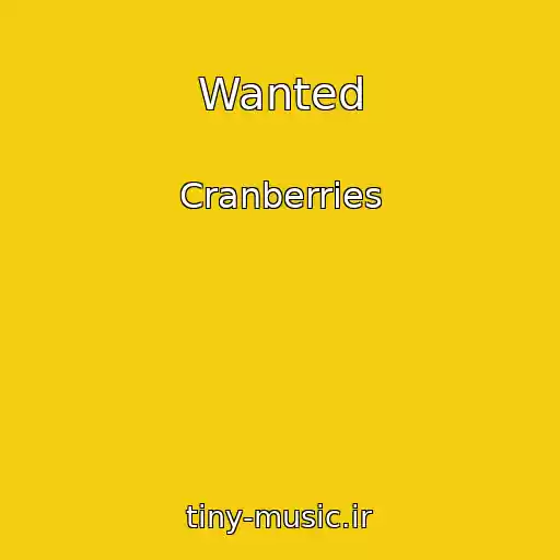 کاور آهنگ Wanted از Cranberries
