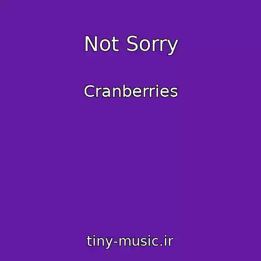 کاور آهنگ Not Sorry از Cranberries