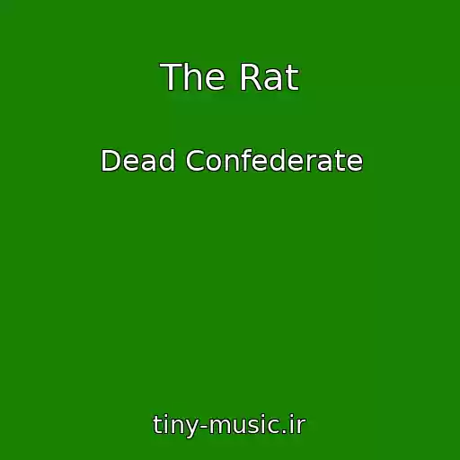 کاور آهنگ The Rat از Dead Confederate