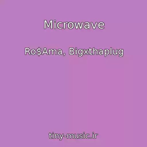 کاور آهنگ Microwave از Ro$Ama, Bigxthaplug