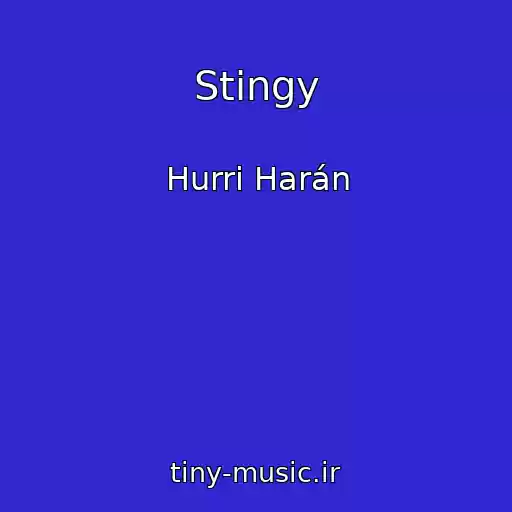 کاور آهنگ Stingy از Hurri Harán