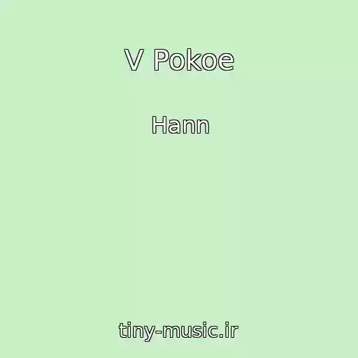 کاور آهنگ V Pokoe از Hann