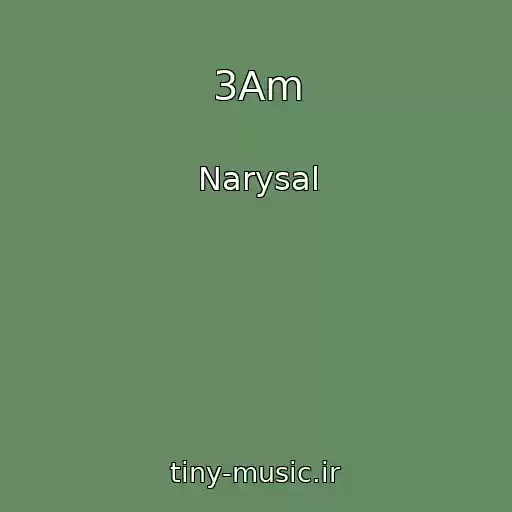 کاور آهنگ 3Am از Narysal