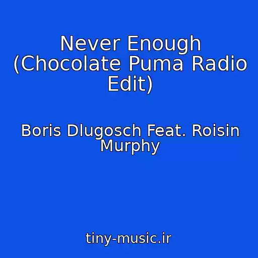 کاور آهنگ Never Enough (Chocolate Puma Radio Edit) از Boris Dlugosch Feat. Roisin Murphy