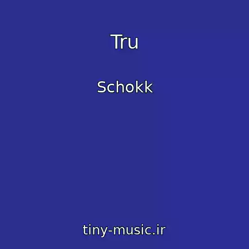 کاور آهنگ Tru از Schokk