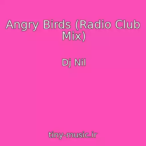 کاور آهنگ Angry Birds (Radio Club Mix) از Dj Nil