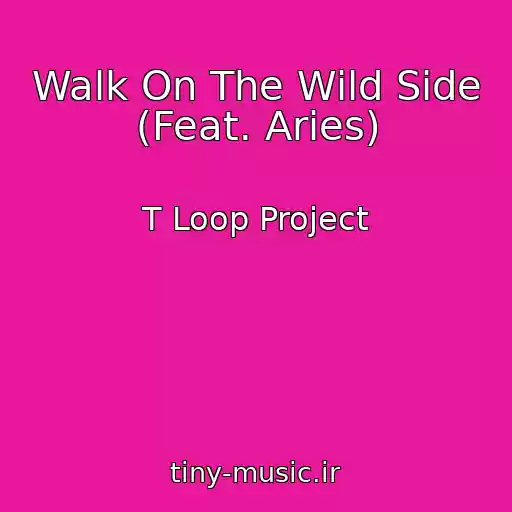 کاور آهنگ Walk On The Wild Side (Feat. Aries) از T Loop Project