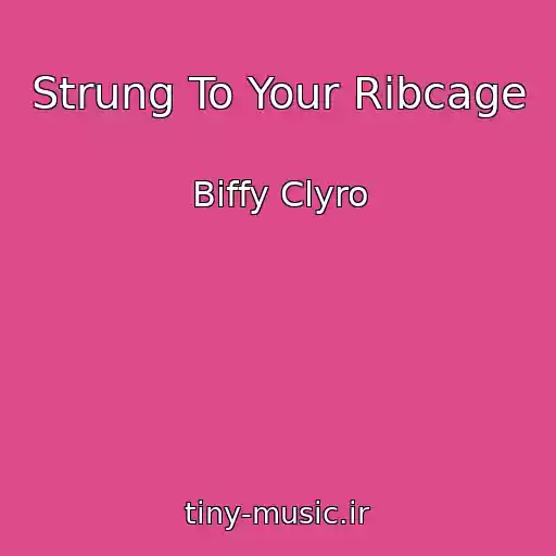 کاور آهنگ Strung To Your Ribcage از Biffy Clyro