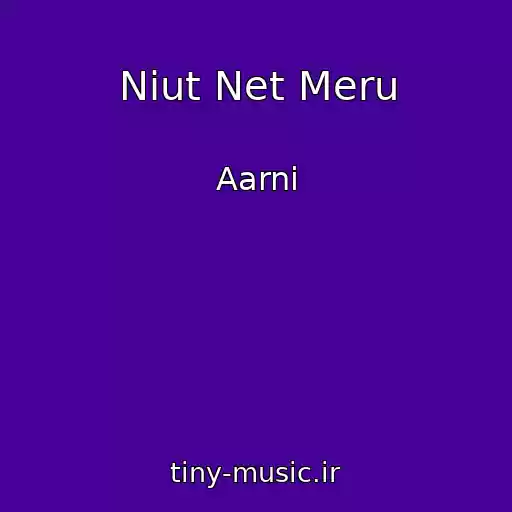 کاور آهنگ Niut Net Meru از Aarni