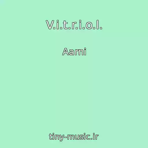 کاور آهنگ V.i.t.r.i.o.l. از Aarni