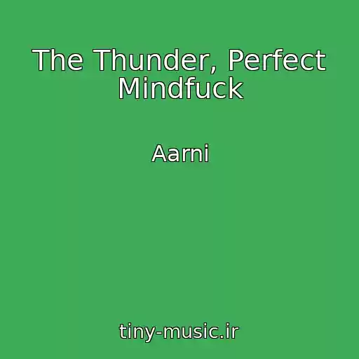 کاور آهنگ The Thunder, Perfect Mindfuck از Aarni
