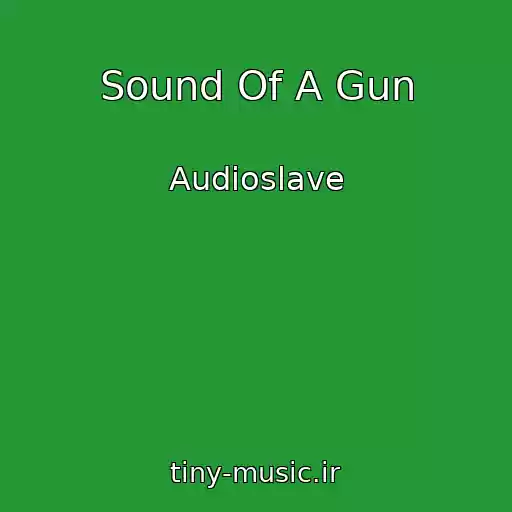 کاور آهنگ Sound Of A Gun از Audioslave
