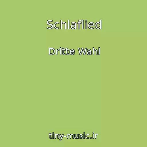 کاور آهنگ Schlaflied از Dritte Wahl