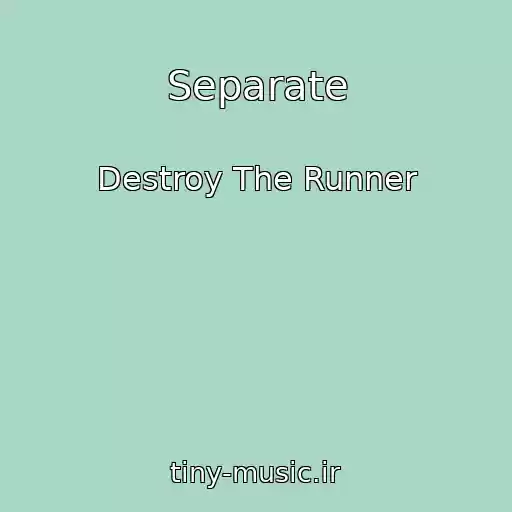 کاور آهنگ Separate از Destroy The Runner