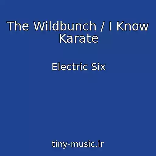 کاور آهنگ The Wildbunch / I Know Karate از Electric Six