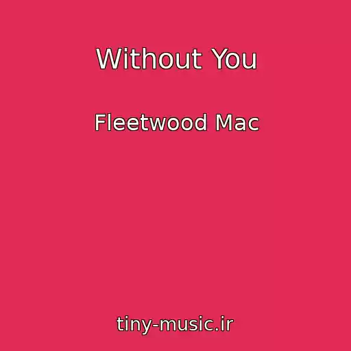 کاور آهنگ Without You از Fleetwood Mac
