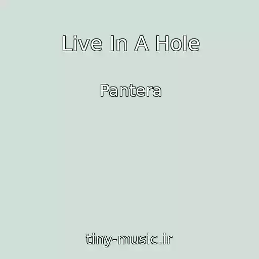 کاور آهنگ Live In A Hole از Pantera
