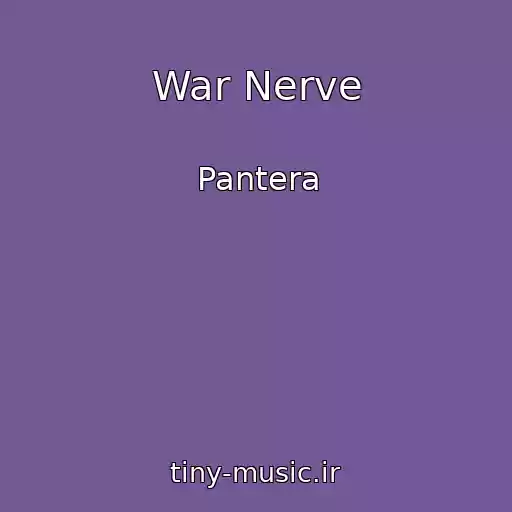 کاور آهنگ War Nerve از Pantera