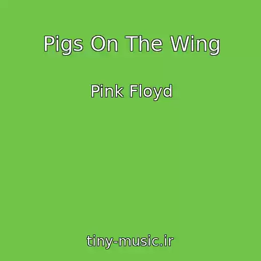 کاور آهنگ Pigs On The Wing از Pink Floyd