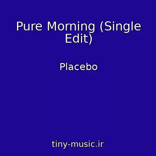 کاور آهنگ Pure Morning (Single Edit) از Placebo
