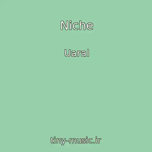 کاور آهنگ Niche از Uaral