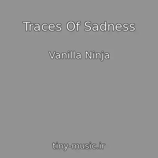کاور آهنگ Traces Of Sadness از Vanilla Ninja
