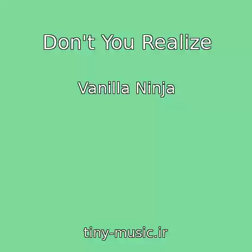 کاور آهنگ Don't You Realize از Vanilla Ninja