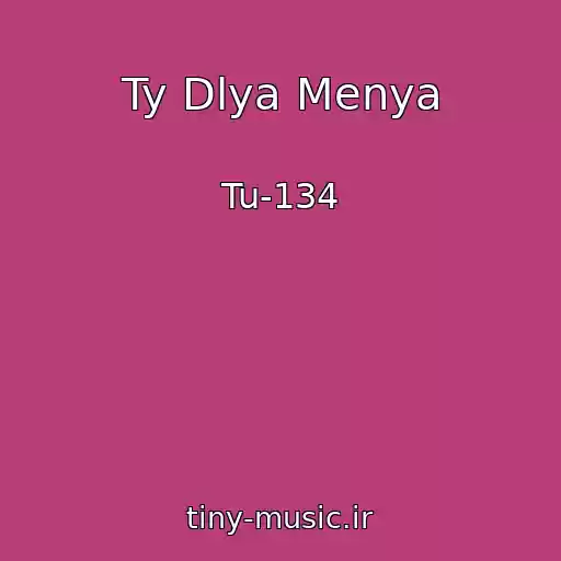 کاور آهنگ Ty Dlya Menya از Tu-134
