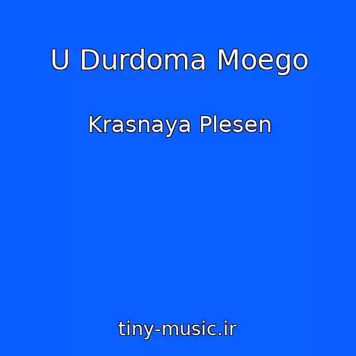 کاور آهنگ U Durdoma Moego از Krasnaya Plesen