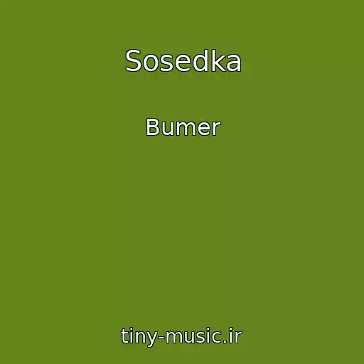 کاور آهنگ Sosedka از Bumer