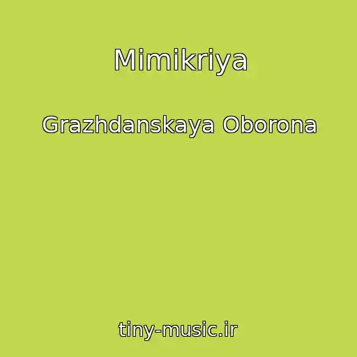 کاور آهنگ Mimikriya از Grazhdanskaya Oborona